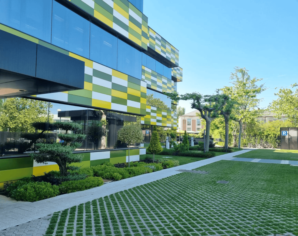 BASAURI Pavicesped Cleannox