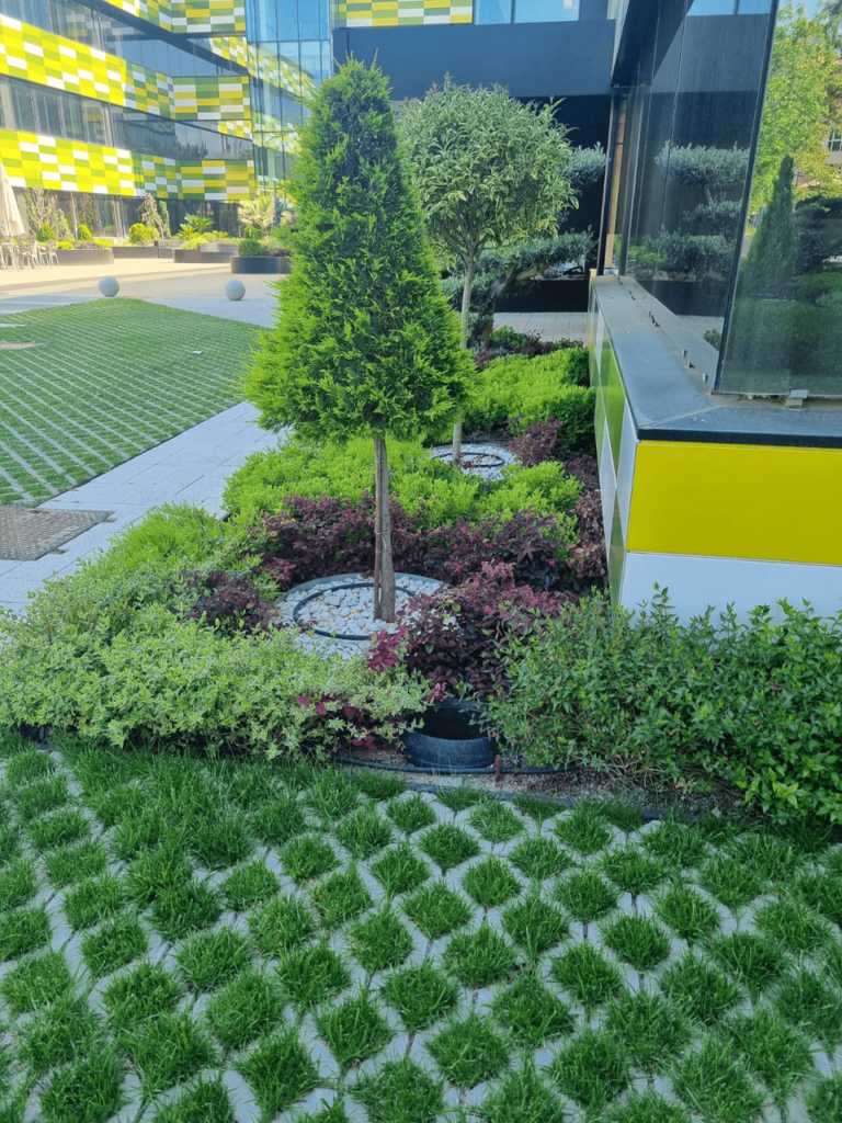 BASAURI 2 Pavicesped Cleannox