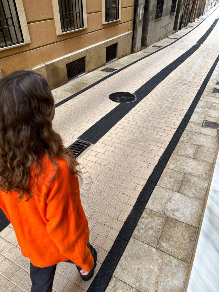 IMG_0949 Adoquín Petreo - Cleannox