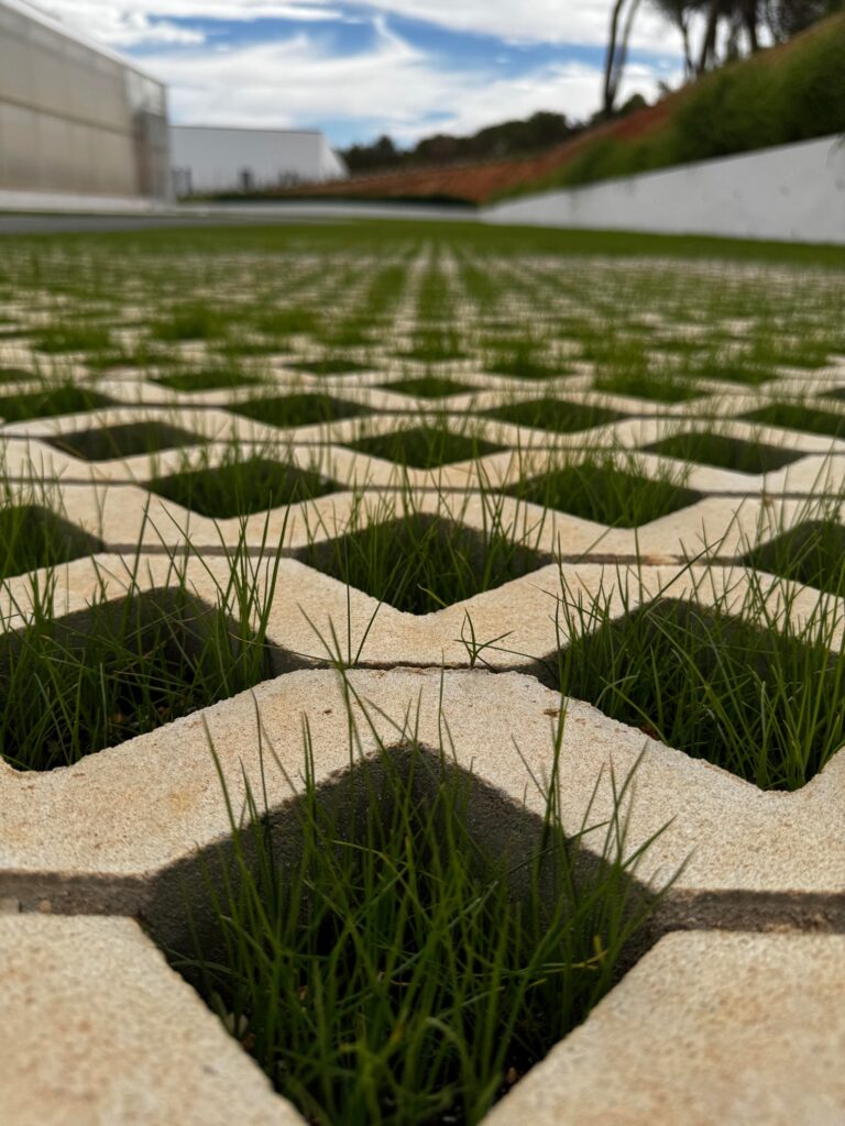 Pavicesped (Hector Olmeda) Pavicesped