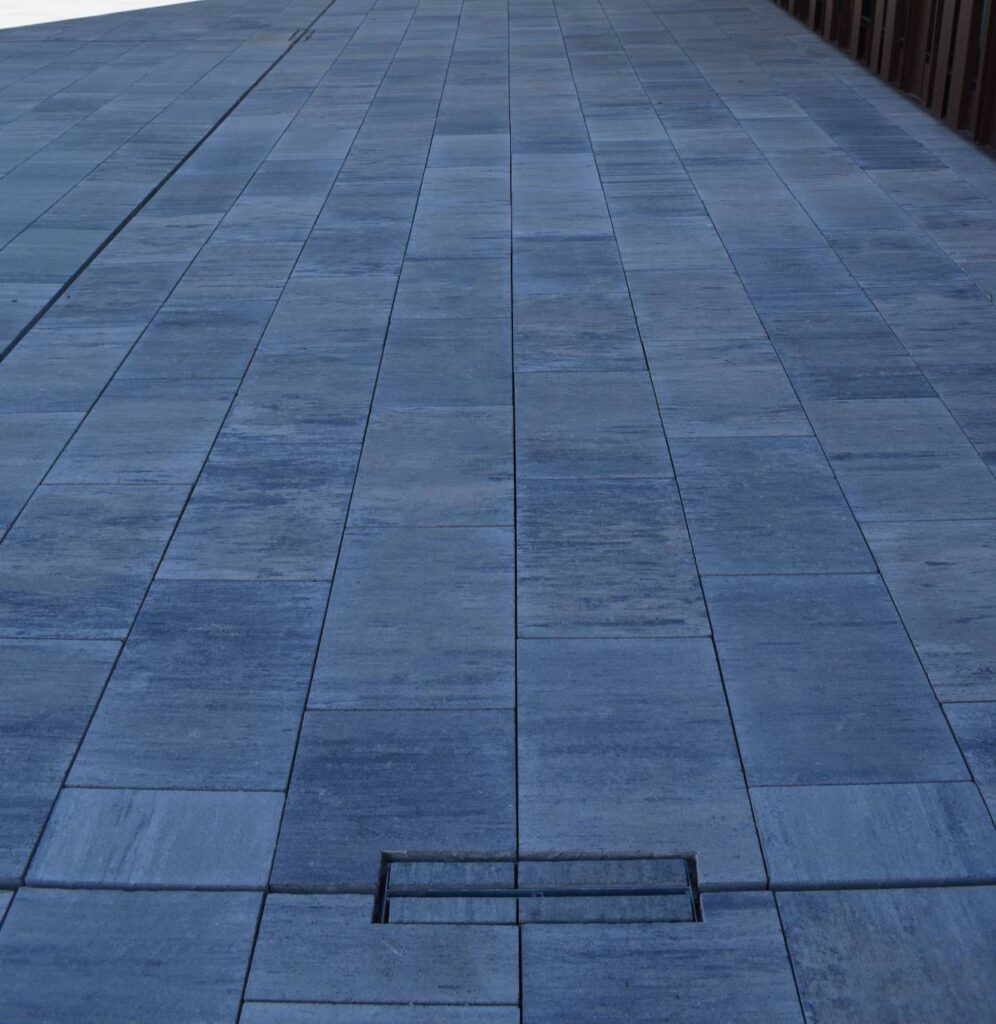 publicación cecotec (1)